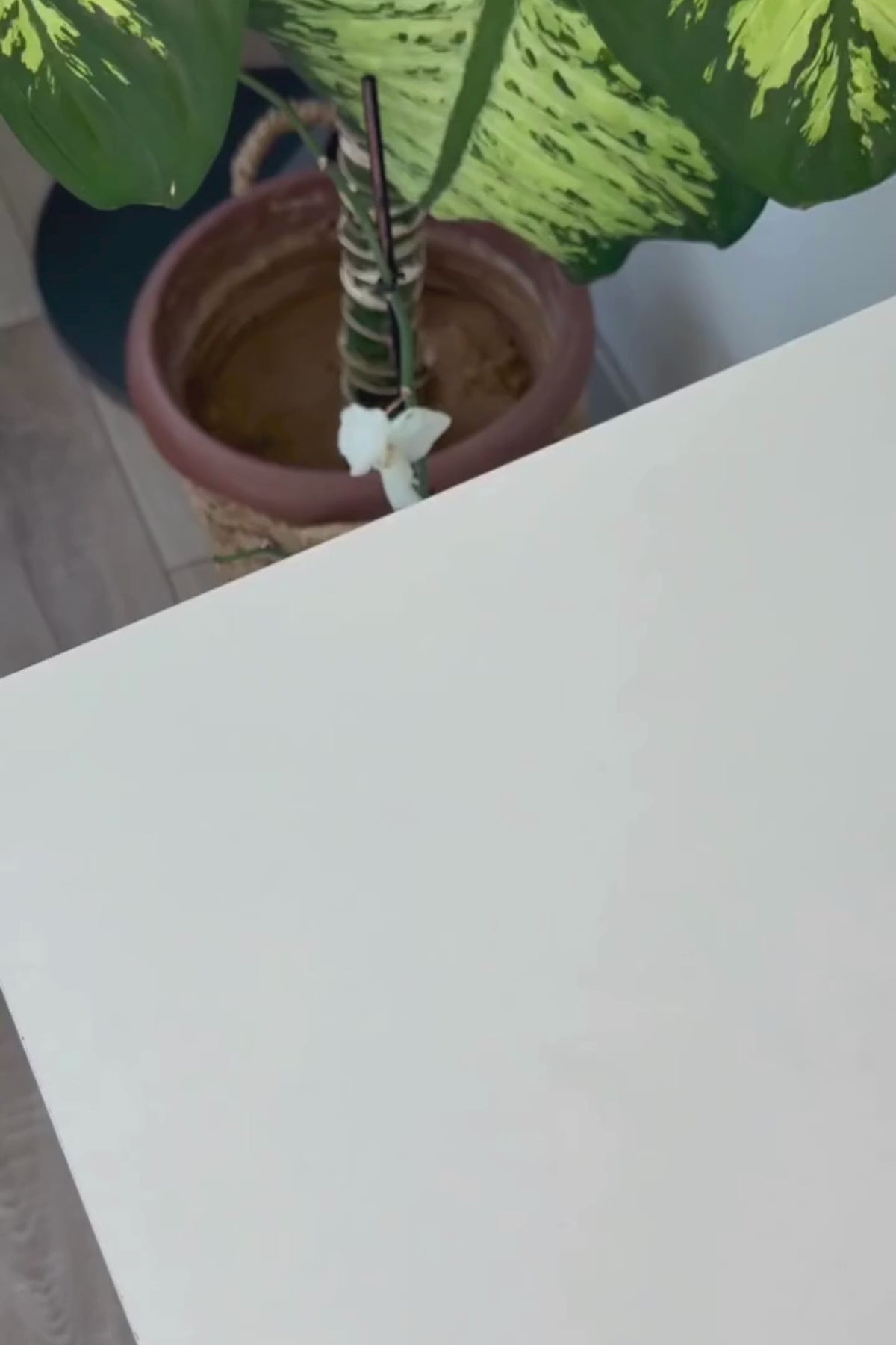 Mio Smell 2x Oda Koku Makinesi